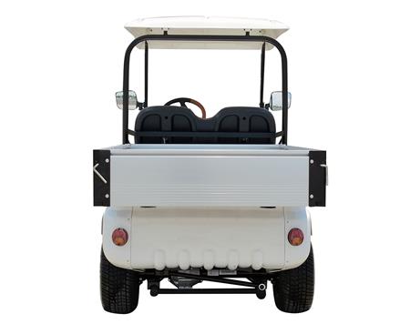 Xe chở hàng điện 2 chỗ Lvtong A617 - LT-A617.H8