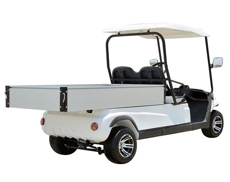 Xe chở hàng điện 2 chỗ Lvtong A617 - LT-A617.H8