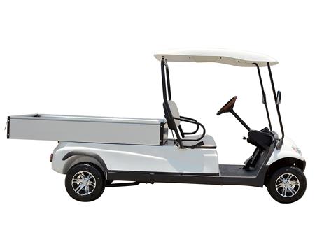 Xe chở hàng điện 2 chỗ Lvtong A617 - LT-A617.H8