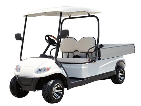 Xe chở hàng điện 2 chỗ Lvtong A617 - LT-A617.H8