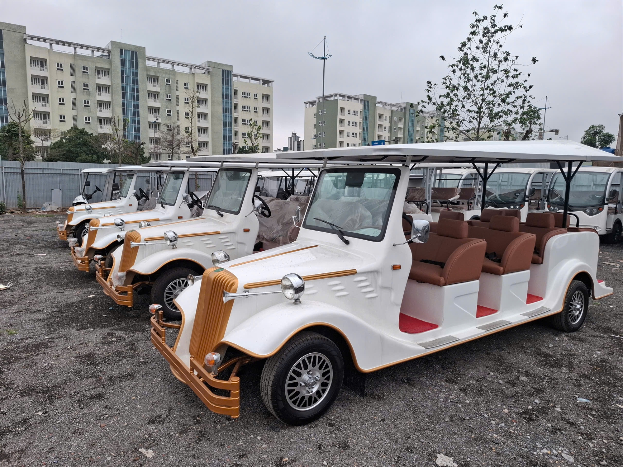 Xe điện kiểu cổ LT-S8.FA
